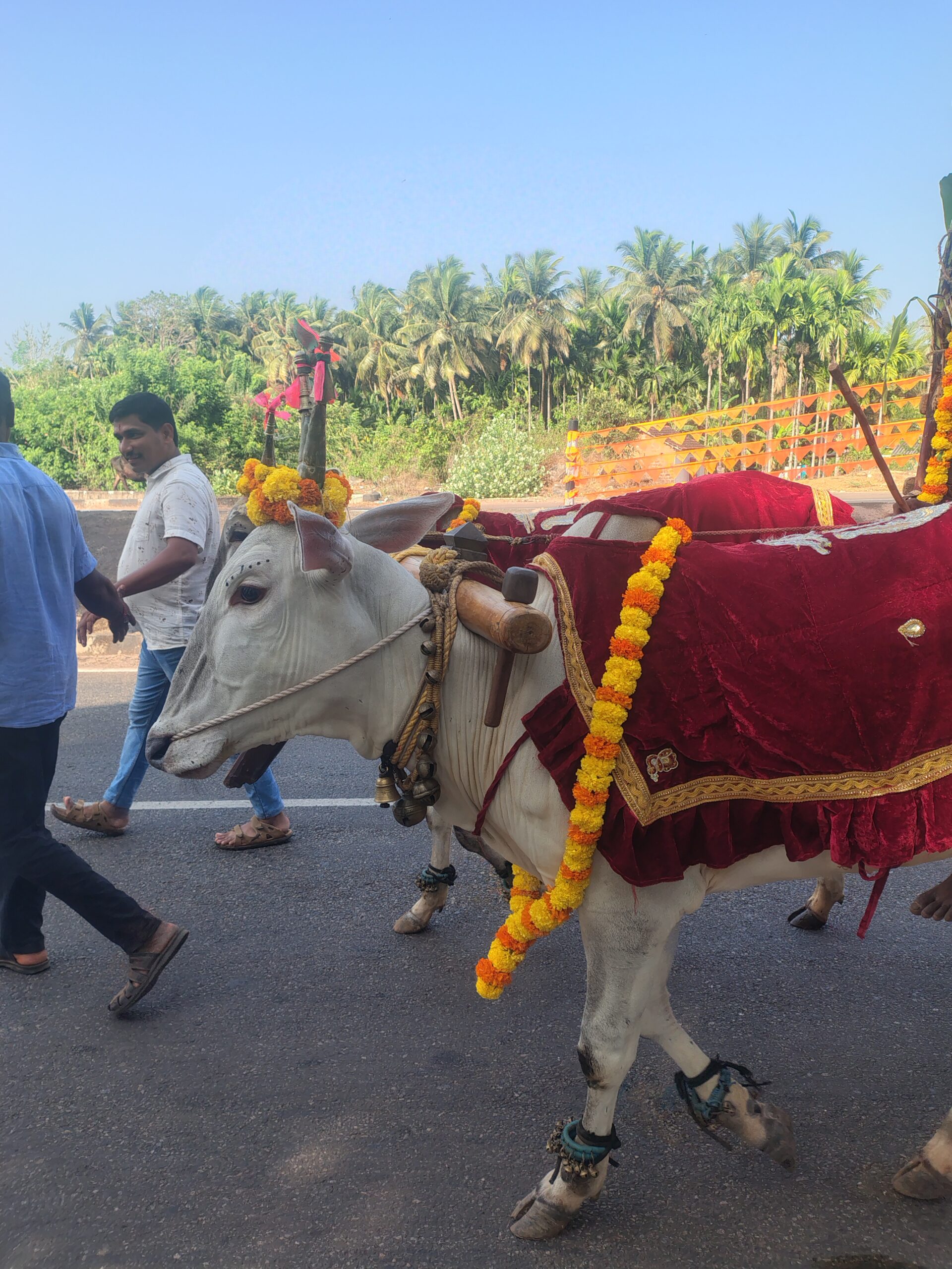 IMG_20260409_162123208_HDR